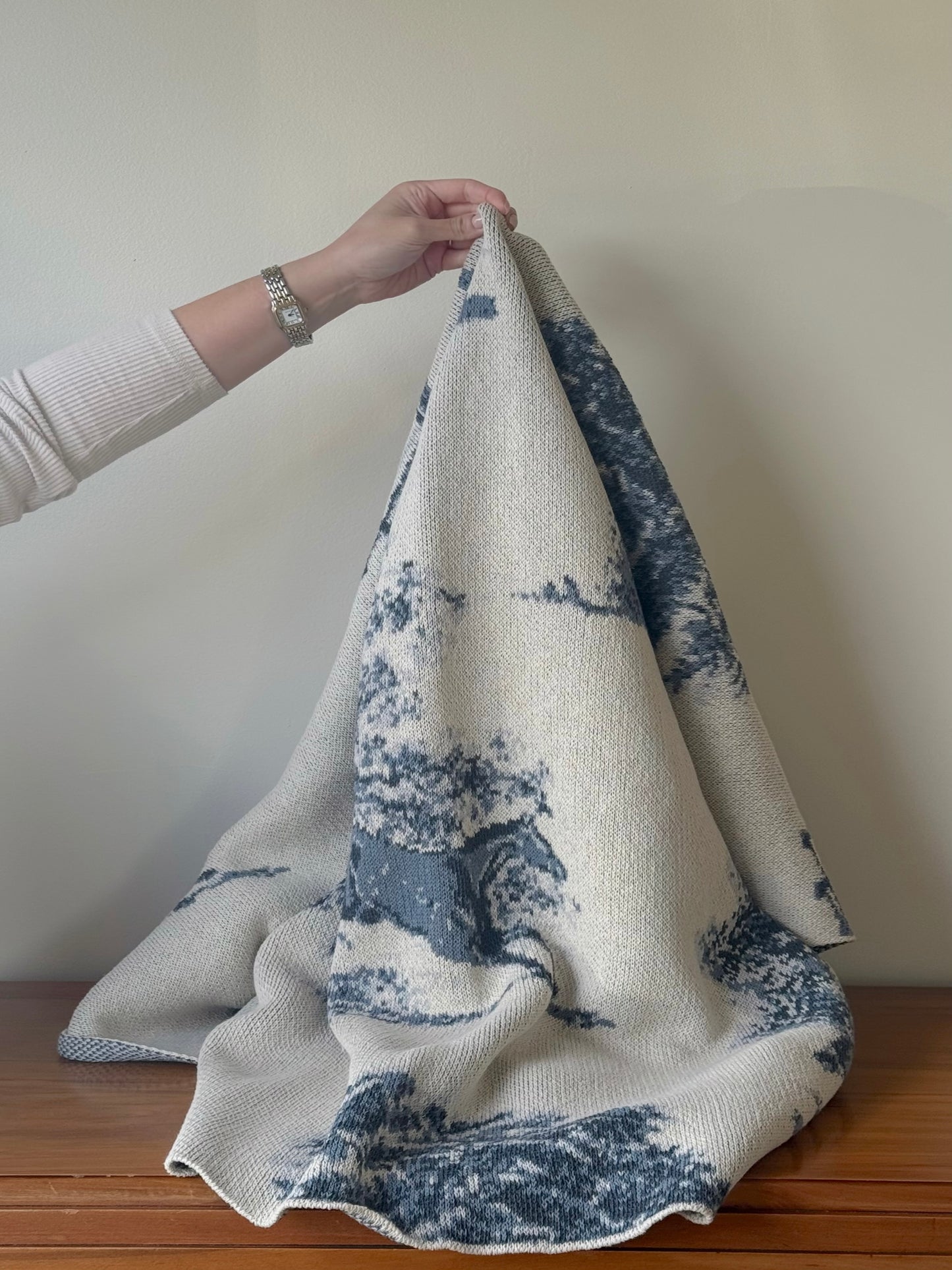 Equestrian Toile Throw Blanket